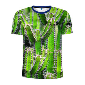 Мужская футболка 3D спортивная с принтом Кактус в Тюмени, 100% полиэстер с улучшенными характеристиками | приталенный силуэт, круглая горловина, широкие плечи, сужается к линии бедра | Тематика изображения на принте: кактус | колючки | прикольные картинки | природа | цветочки | цветы