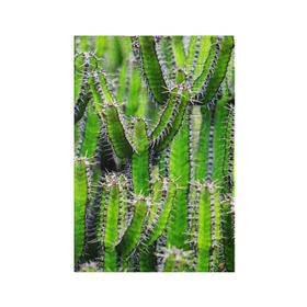 Обложка для паспорта матовая кожа с принтом Кактус в Тюмени, натуральная матовая кожа | размер 19,3 х 13,7 см; прозрачные пластиковые крепления | Тематика изображения на принте: кактус | колючки | прикольные картинки | природа | цветочки | цветы