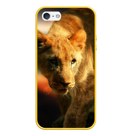 Чехол для iPhone 5/5S матовый с принтом Львица в Тюмени, Силикон | Область печати: задняя сторона чехла, без боковых панелей | lion | голова животного | дикая кошка | кот | лев | цвет