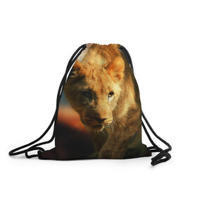 Рюкзак-мешок 3D с принтом Львица в Тюмени, 100% полиэстер | плотность ткани — 200 г/м2, размер — 35 х 45 см; лямки — толстые шнурки, застежка на шнуровке, без карманов и подкладки | lion | голова животного | дикая кошка | кот | лев | цвет