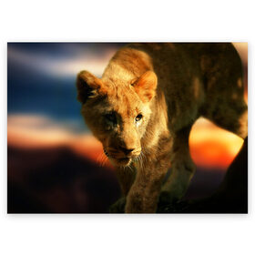 Поздравительная открытка с принтом Львица в Тюмени, 100% бумага | плотность бумаги 280 г/м2, матовая, на обратной стороне линовка и место для марки
 | lion | голова животного | дикая кошка | кот | лев | цвет