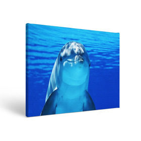 Холст прямоугольный с принтом Дельфин в Тюмени, 100% ПВХ |  | Тематика изображения на принте: вода | дельфин | море | отдых | отпуск | подводный мир | туризм