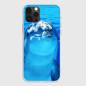 Чехол для iPhone 12 Pro Max с принтом Дельфин в Тюмени, Силикон |  | вода | дельфин | море | отдых | отпуск | подводный мир | туризм