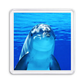 Магнит 55*55 с принтом Дельфин в Тюмени, Пластик | Размер: 65*65 мм; Размер печати: 55*55 мм | Тематика изображения на принте: вода | дельфин | море | отдых | отпуск | подводный мир | туризм