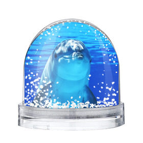 Снежный шар с принтом Дельфин в Тюмени, Пластик | Изображение внутри шара печатается на глянцевой фотобумаге с двух сторон | вода | дельфин | море | отдых | отпуск | подводный мир | туризм