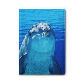 Обложка для автодокументов с принтом Дельфин в Тюмени, натуральная кожа |  размер 19,9*13 см; внутри 4 больших “конверта” для документов и один маленький отдел — туда идеально встанут права | Тематика изображения на принте: вода | дельфин | море | отдых | отпуск | подводный мир | туризм