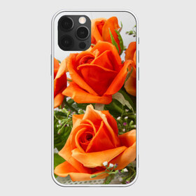 Чехол для iPhone 12 Pro Max с принтом Розы в Тюмени, Силикон |  | Тематика изображения на принте: бабочки | весна | краски | лето | осень | розы | цветок | цветы