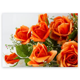 Поздравительная открытка с принтом Розы в Тюмени, 100% бумага | плотность бумаги 280 г/м2, матовая, на обратной стороне линовка и место для марки
 | бабочки | весна | краски | лето | осень | розы | цветок | цветы