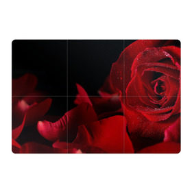 Магнитный плакат 3Х2 с принтом Лепестки розы в Тюмени, Полимерный материал с магнитным слоем | 6 деталей размером 9*9 см | бабочки | весна | краски | лето | осень | розы | цветок | цветы