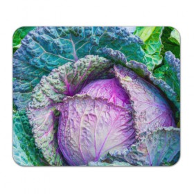 Коврик прямоугольный с принтом Капуста в Тюмени, натуральный каучук | размер 230 х 185 мм; запечатка лицевой стороны | дача | еда | зелень | капуста | овощи | огород | растения | цветная капуста