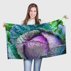 Флаг 3D с принтом Капуста в Тюмени, 100% полиэстер | плотность ткани — 95 г/м2, размер — 67 х 109 см. Принт наносится с одной стороны | дача | еда | зелень | капуста | овощи | огород | растения | цветная капуста
