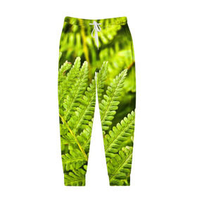 Мужские брюки 3D с принтом Папоротник в Тюмени, 100% полиэстер | манжеты по низу, эластичный пояс регулируется шнурком, по бокам два кармана без застежек, внутренняя часть кармана из мелкой сетки | ботаника | зелень | листья | папоротник | природа | растения | цветок
