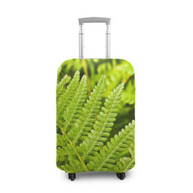 Чехол для чемодана 3D с принтом Папоротник в Тюмени, 86% полиэфир, 14% спандекс | двустороннее нанесение принта, прорези для ручек и колес | ботаника | зелень | листья | папоротник | природа | растения | цветок