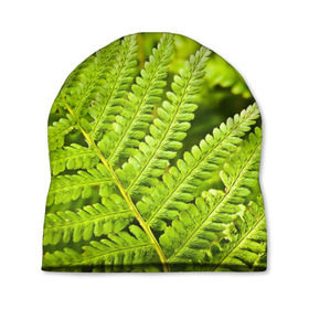 Шапка 3D с принтом Папоротник в Тюмени, 100% полиэстер | универсальный размер, печать по всей поверхности изделия | ботаника | зелень | листья | папоротник | природа | растения | цветок