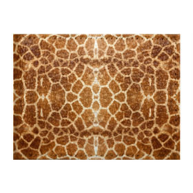 Обложка для студенческого билета с принтом Шкура Жирафа в Тюмени, натуральная кожа | Размер: 11*8 см; Печать на всей внешней стороне | textures | животное | жираф | текстура