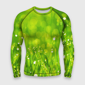 Мужской рашгард 3D с принтом Роса на траве в Тюмени,  |  | зелёный | зелень | луг | роса | яркий