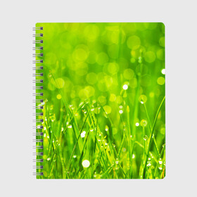 Тетрадь с принтом Роса на траве в Тюмени, 100% бумага | 48 листов, плотность листов — 60 г/м2, плотность картонной обложки — 250 г/м2. Листы скреплены сбоку удобной пружинной спиралью. Уголки страниц и обложки скругленные. Цвет линий — светло-серый
 | зелёный | зелень | луг | роса | яркий
