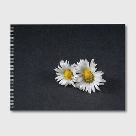 Альбом для рисования с принтом Ромашки в Тюмени, 100% бумага
 | матовая бумага, плотность 200 мг. | зелень | лепестки | пара | природа | растения | ромашки | цветы