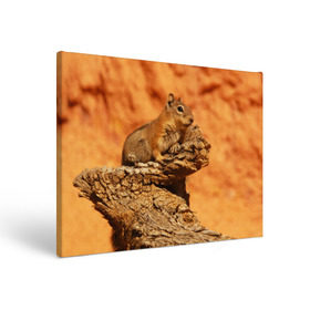 Холст прямоугольный с принтом Суслик в Тюмени, 100% ПВХ |  | голова животного | грызун | песок | природа | пустыня | степь | суслик