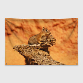 Флаг-баннер с принтом Суслик в Тюмени, 100% полиэстер | размер 67 х 109 см, плотность ткани — 95 г/м2; по краям флага есть четыре люверса для крепления | голова животного | грызун | песок | природа | пустыня | степь | суслик