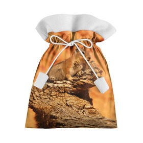 Подарочный 3D мешок с принтом Суслик в Тюмени, 100% полиэстер | Размер: 29*39 см | голова животного | грызун | песок | природа | пустыня | степь | суслик