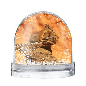 Снежный шар с принтом Суслик в Тюмени, Пластик | Изображение внутри шара печатается на глянцевой фотобумаге с двух сторон | голова животного | грызун | песок | природа | пустыня | степь | суслик