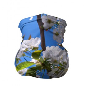 Бандана-труба 3D с принтом Вишнёвый цвет в Тюмени, 100% полиэстер, ткань с особыми свойствами — Activecool | плотность 150‒180 г/м2; хорошо тянется, но сохраняет форму | весна | вишня | лепестки | прикольные картинки | цветение | цветы