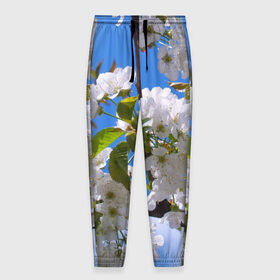 Мужские брюки 3D с принтом Вишнёвый цвет в Тюмени, 100% полиэстер | манжеты по низу, эластичный пояс регулируется шнурком, по бокам два кармана без застежек, внутренняя часть кармана из мелкой сетки | весна | вишня | лепестки | прикольные картинки | цветение | цветы