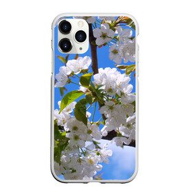 Чехол для iPhone 11 Pro Max матовый с принтом Вишнёвый цвет в Тюмени, Силикон |  | Тематика изображения на принте: весна | вишня | лепестки | прикольные картинки | цветение | цветы