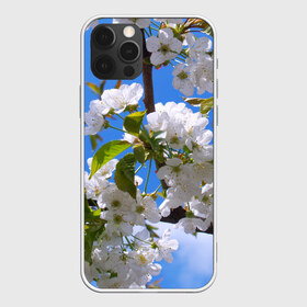 Чехол для iPhone 12 Pro Max с принтом Вишнёвый цвет в Тюмени, Силикон |  | весна | вишня | лепестки | прикольные картинки | цветение | цветы