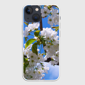Чехол для iPhone 13 mini с принтом Вишнёвый цвет в Тюмени,  |  | Тематика изображения на принте: весна | вишня | лепестки | прикольные картинки | цветение | цветы
