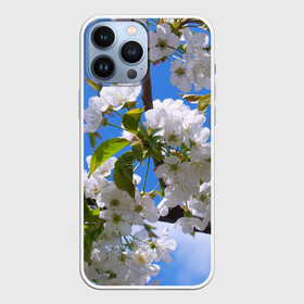 Чехол для iPhone 13 Pro Max с принтом Вишнёвый цвет в Тюмени,  |  | Тематика изображения на принте: весна | вишня | лепестки | прикольные картинки | цветение | цветы