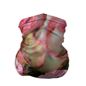 Бандана-труба 3D с принтом Розы в Тюмени, 100% полиэстер, ткань с особыми свойствами — Activecool | плотность 150‒180 г/м2; хорошо тянется, но сохраняет форму | букет | вода | капли | лепестки | природа | растения | розовые | розы | роса | цветок | цветы