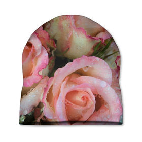 Шапка 3D с принтом Розы в Тюмени, 100% полиэстер | универсальный размер, печать по всей поверхности изделия | букет | вода | капли | лепестки | природа | растения | розовые | розы | роса | цветок | цветы