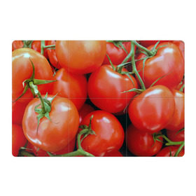 Магнитный плакат 3Х2 с принтом Томаты в Тюмени, Полимерный материал с магнитным слоем | 6 деталей размером 9*9 см | дача | еда | зелень | красный | овощи | огород | помидоры | томаты