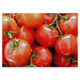 Поздравительная открытка с принтом Томаты в Тюмени, 100% бумага | плотность бумаги 280 г/м2, матовая, на обратной стороне линовка и место для марки
 | дача | еда | зелень | красный | овощи | огород | помидоры | томаты