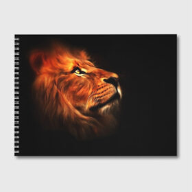 Альбом для рисования с принтом Lion в Тюмени, 100% бумага
 | матовая бумага, плотность 200 мг. | lion | голова животного | кот | кошка | лев