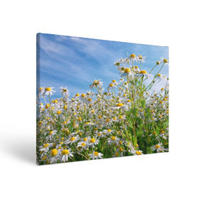 Холст прямоугольный с принтом Ромашковый рай в Тюмени, 100% ПВХ |  | лепестки | небо | прикольные картинки | ромашки | солнце | цветочки | цветы