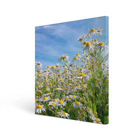Холст квадратный с принтом Ромашковый рай в Тюмени, 100% ПВХ |  | Тематика изображения на принте: лепестки | небо | прикольные картинки | ромашки | солнце | цветочки | цветы