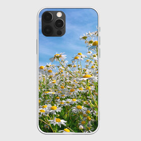 Чехол для iPhone 12 Pro Max с принтом Ромашковый рай в Тюмени, Силикон |  | Тематика изображения на принте: лепестки | небо | прикольные картинки | ромашки | солнце | цветочки | цветы