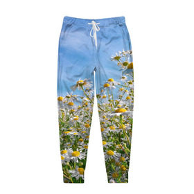 Мужские брюки 3D с принтом Ромашковый рай в Тюмени, 100% полиэстер | манжеты по низу, эластичный пояс регулируется шнурком, по бокам два кармана без застежек, внутренняя часть кармана из мелкой сетки | лепестки | небо | прикольные картинки | ромашки | солнце | цветочки | цветы