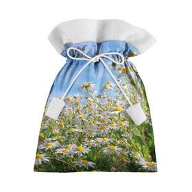 Подарочный 3D мешок с принтом Ромашковый рай в Тюмени, 100% полиэстер | Размер: 29*39 см | Тематика изображения на принте: лепестки | небо | прикольные картинки | ромашки | солнце | цветочки | цветы