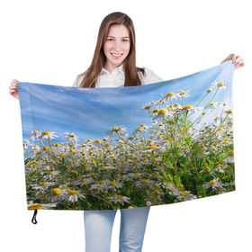 Флаг 3D с принтом Ромашковый рай в Тюмени, 100% полиэстер | плотность ткани — 95 г/м2, размер — 67 х 109 см. Принт наносится с одной стороны | Тематика изображения на принте: лепестки | небо | прикольные картинки | ромашки | солнце | цветочки | цветы
