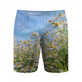 Мужские шорты 3D спортивные с принтом Ромашковый рай в Тюмени,  |  | лепестки | небо | прикольные картинки | ромашки | солнце | цветочки | цветы