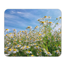 Коврик прямоугольный с принтом Ромашковый рай в Тюмени, натуральный каучук | размер 230 х 185 мм; запечатка лицевой стороны | лепестки | небо | прикольные картинки | ромашки | солнце | цветочки | цветы