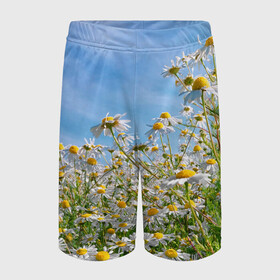 Детские спортивные шорты 3D с принтом Ромашковый рай в Тюмени,  100% полиэстер
 | пояс оформлен широкой мягкой резинкой, ткань тянется
 | лепестки | небо | прикольные картинки | ромашки | солнце | цветочки | цветы