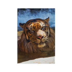 Обложка для паспорта матовая кожа с принтом Тигр в Тюмени, натуральная матовая кожа | размер 19,3 х 13,7 см; прозрачные пластиковые крепления | вода | дикая кошка | природа | тигр | хищник