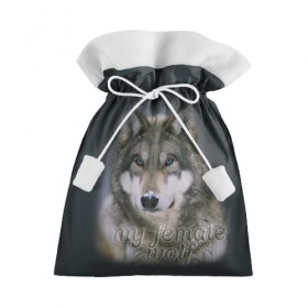 Подарочный 3D мешок с принтом Моя волчица в Тюмени, 100% полиэстер | Размер: 29*39 см | волк | волчица | для двоих | моя | моя волчица | парные