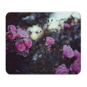 Коврик прямоугольный с принтом Цветы в Тюмени, натуральный каучук | размер 230 х 185 мм; запечатка лицевой стороны | лепестки | прикольные | природа | розовые | розы