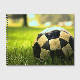Альбом для рисования с принтом Футбол в Тюмени, 100% бумага
 | матовая бумага, плотность 200 мг. | стадион | футбольное поле | футбольный мяч